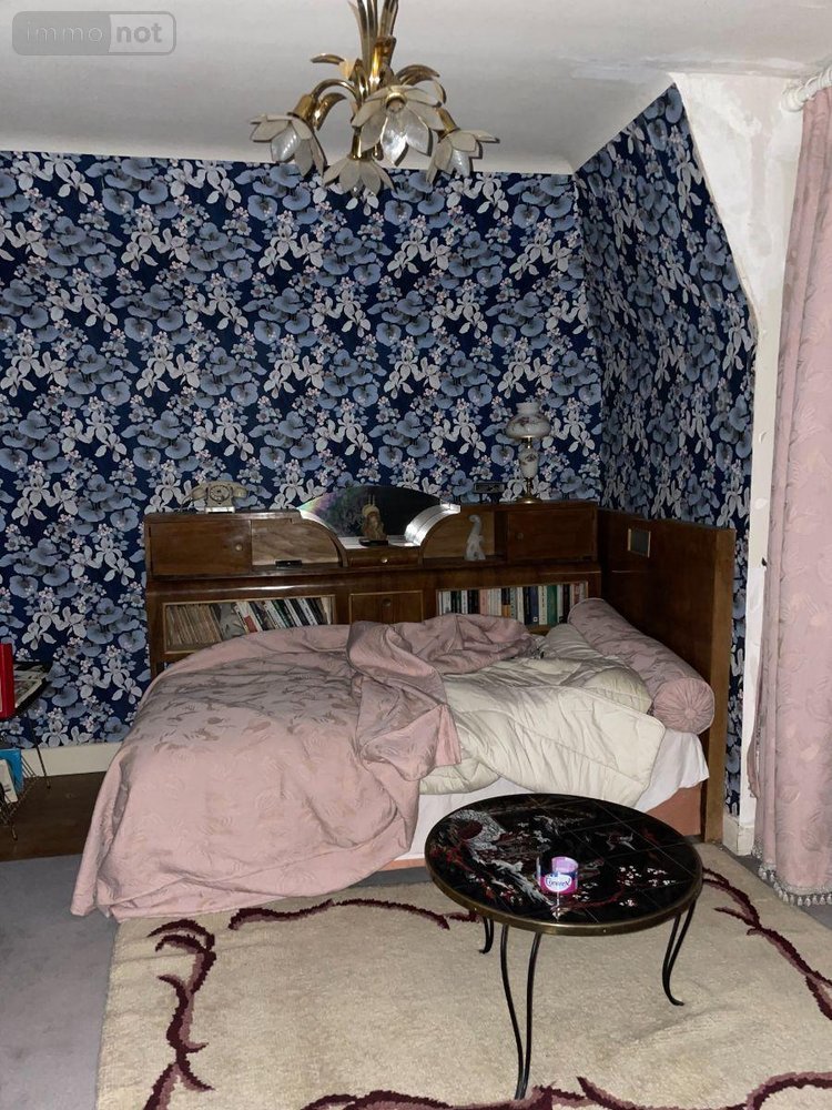 Maison a vendre Mauriac 15200 Cantal 225 m2  132500 euros