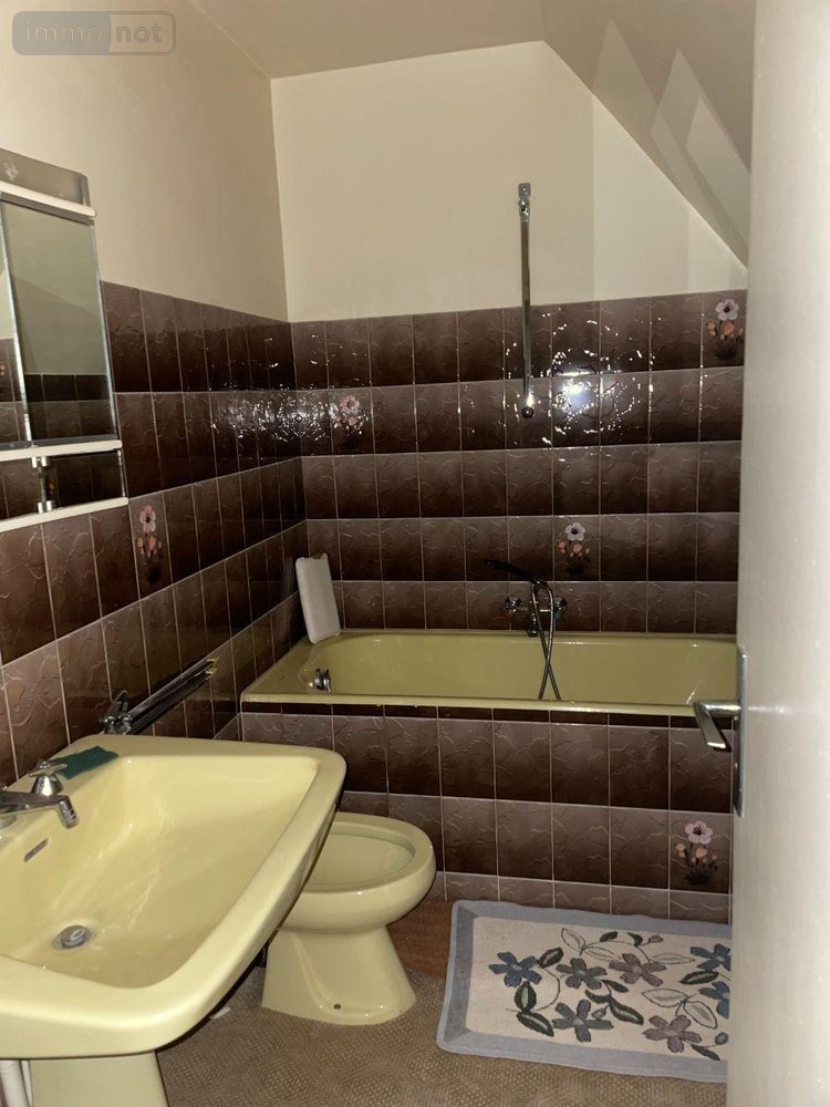 Maison a vendre Mauriac 15200 Cantal 225 m2  132500 euros