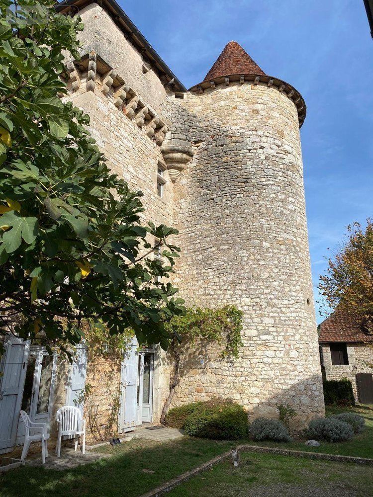 Maison a vendre Cajarc 46160 Lot 340 m2 10 pièces 936000 euros