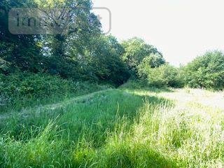 Maison a vendre Vimartin sur Orthe 53160 Mayenne 64 m2 4 pièces 177870 euros