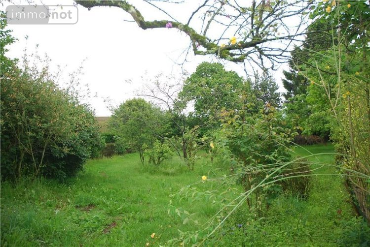 Maison a vendre Vimartin sur Orthe 53160 Mayenne 64 m2 4 pièces 177870 euros