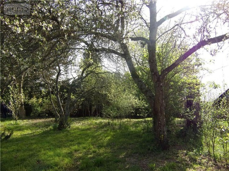 Maison a vendre Vimartin sur Orthe 53160 Mayenne 64 m2 4 pièces 177870 euros