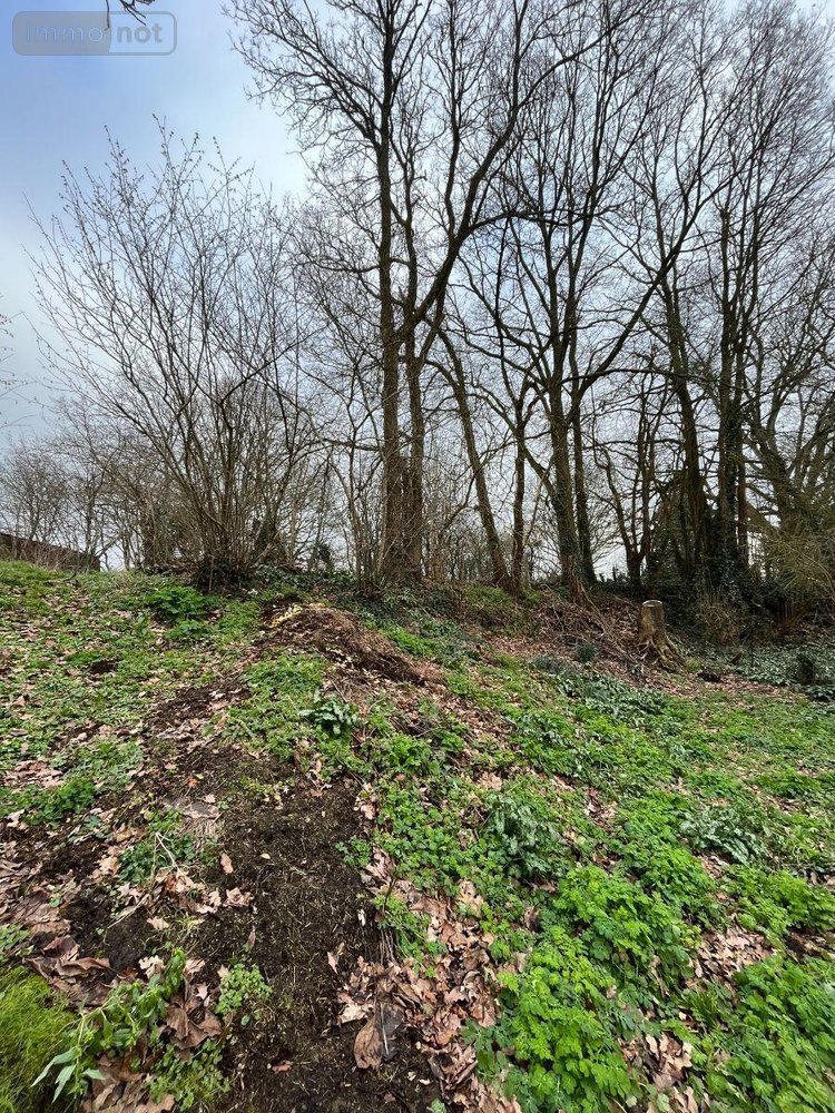 Terrain a batir a vendre Maen Roch 35460 Ille-et-Vilaine 2000 m2  104000 euros