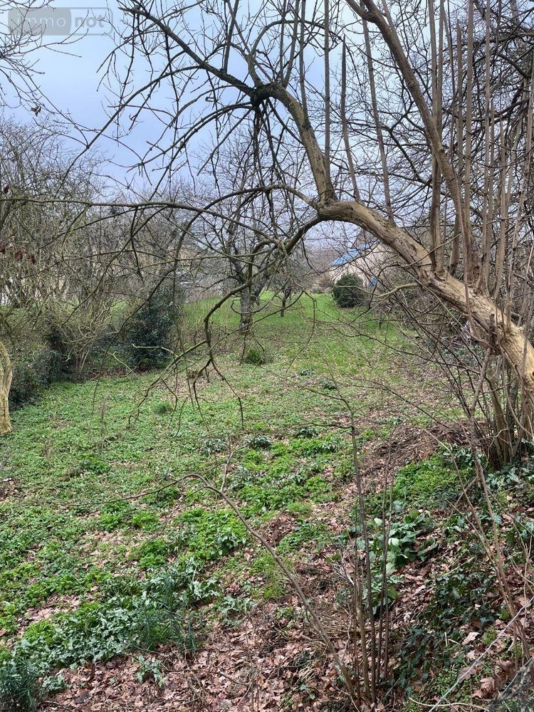 Terrain a batir a vendre Maen Roch 35460 Ille-et-Vilaine 2000 m2  104000 euros