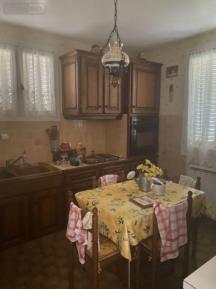 Maison a vendre Pleaux 15700 Cantal 100 m2  90100 euros