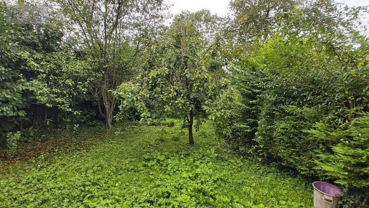 Maison a vendre Liessies 59740 Nord 136 m2 6 pièces 105500 euros