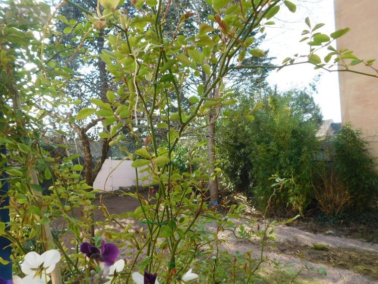 Maison a vendre Châteauroux 36000 Indre 170 m2 7 pièces 209600 euros