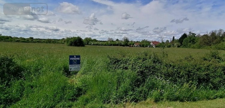 Terrain a batir a vendre Bélâbre 36370 Indre 3000 m2  16560 euros