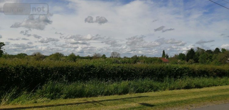 Terrain a batir a vendre Bélâbre 36370 Indre 3000 m2  16560 euros