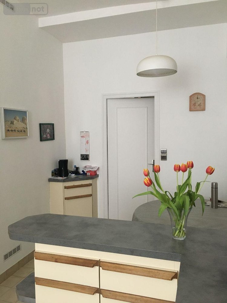 Maison a vendre Buzançais 36500 Indre 328 m2 10 pièces 234000 euros