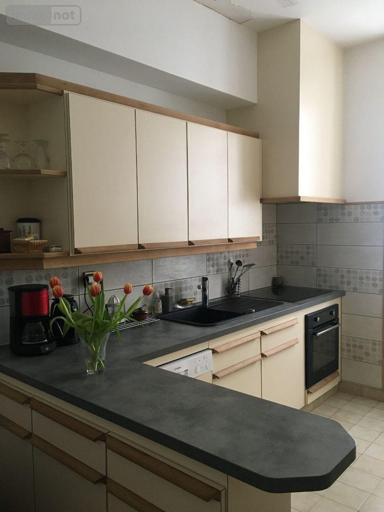 Maison a vendre Buzançais 36500 Indre 328 m2 10 pièces 234000 euros