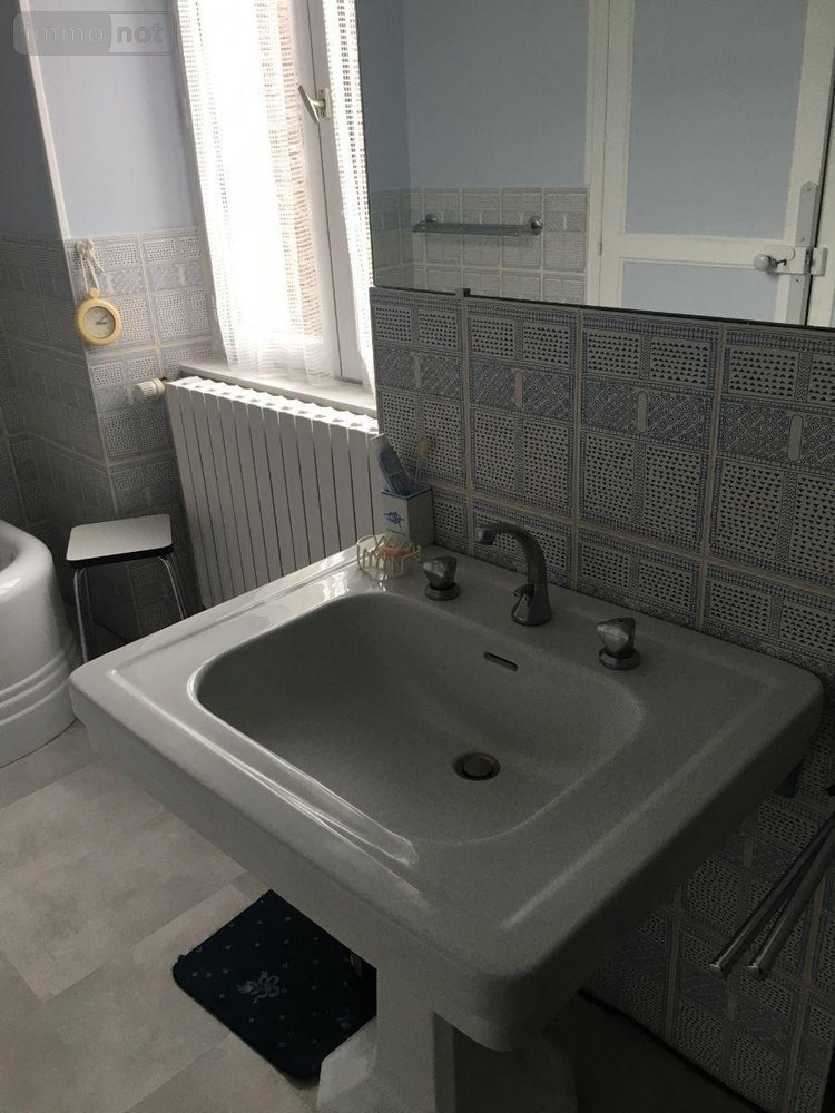 Maison a vendre Buzançais 36500 Indre 328 m2 10 pièces 234000 euros