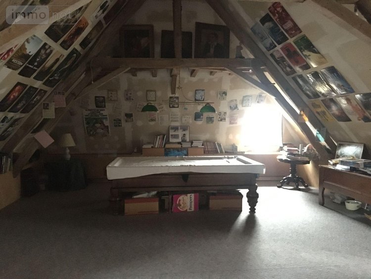 Maison a vendre Buzançais 36500 Indre 328 m2 10 pièces 234400 euros