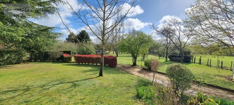 Maison a vendre Savigné-l'Évêque 72460 Sarthe 145 m2 5 pièces 319500 euros