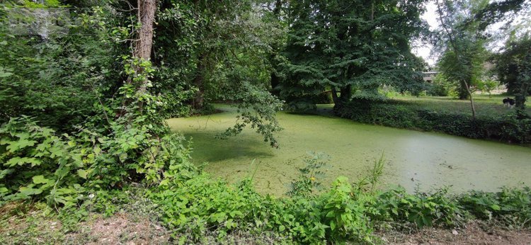 propriete a vendre Marmagne 18500 Cher 286 m2 10 pièces 530000 euros