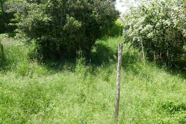 Maison a vendre Bélâbre 36370 Indre 66 m2 3 pièces 21200 euros