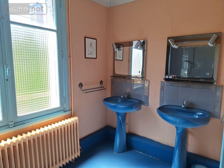 Maison a vendre Henrichemont 18250 Cher 270 m2 7 pièces 126000 euros