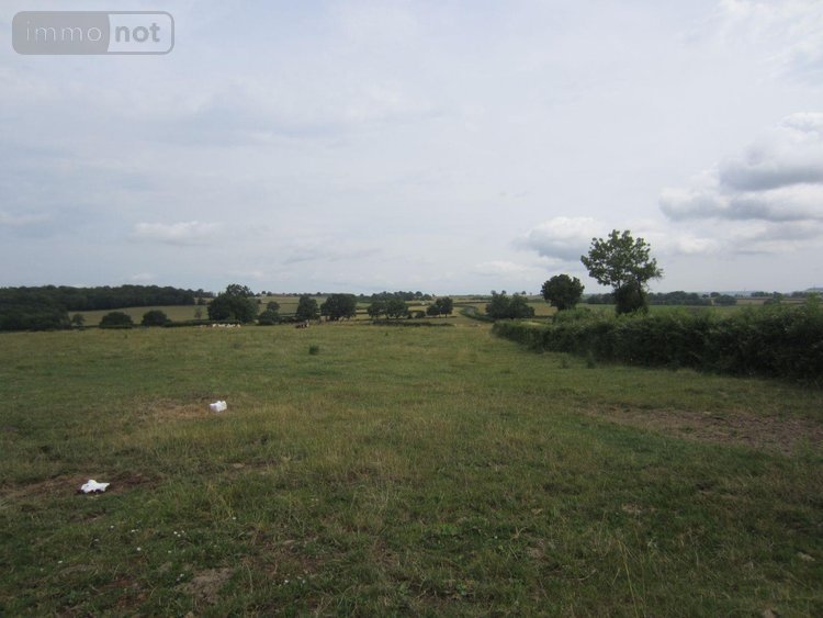 Bien agricole a vendre Saint-Pierre-de-Varennes 71670 Saône-et-Loire  42400 euros