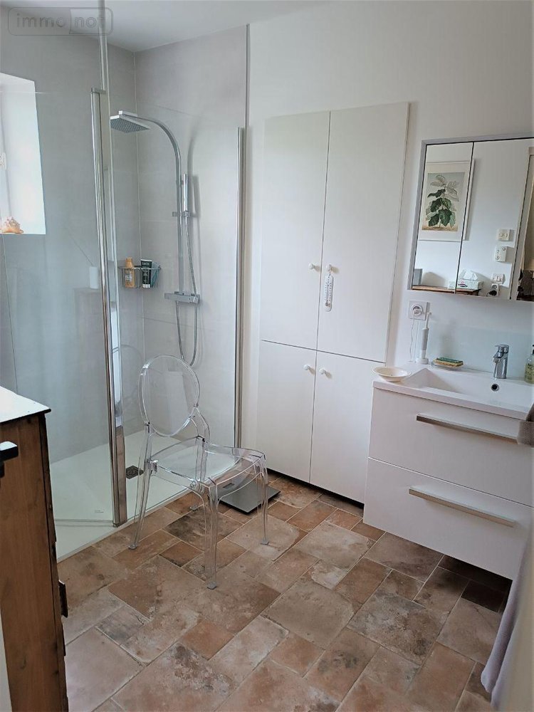 Viager maison La Flèche 72200 Sarthe 183 m2 8 pièces 80000 euros