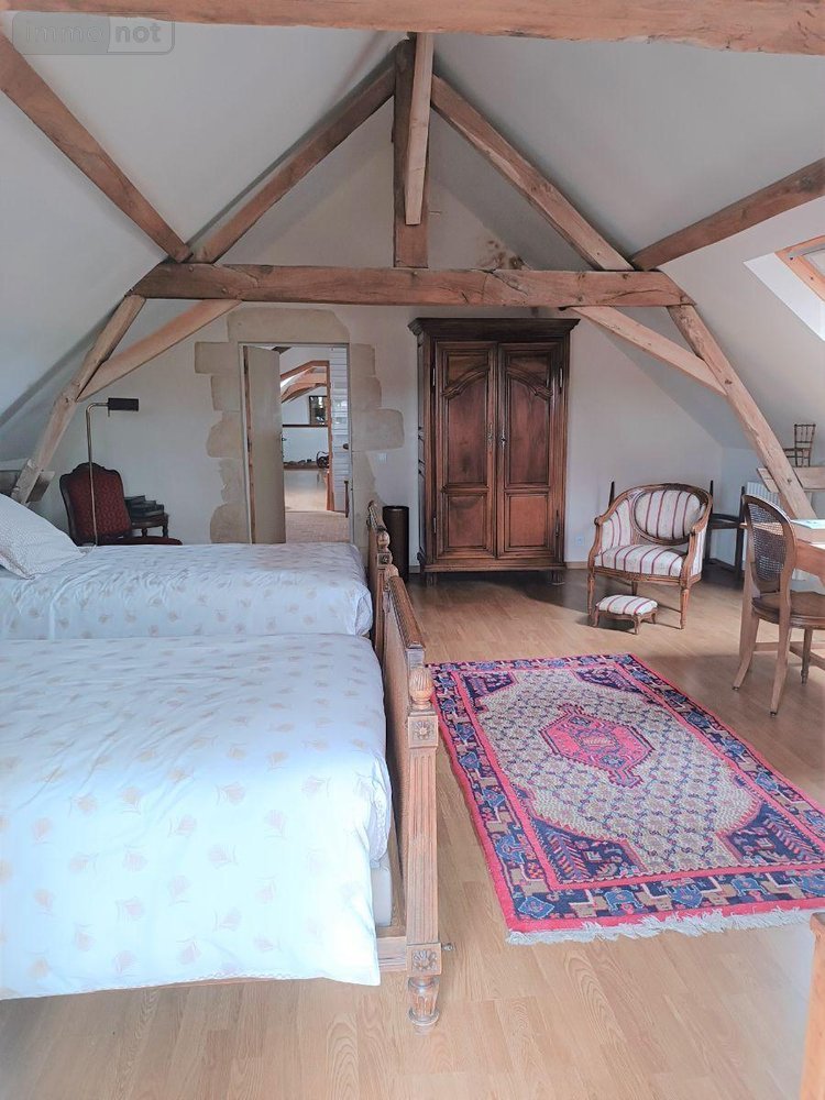 Viager maison La Flèche 72200 Sarthe 183 m2 8 pièces 80000 euros