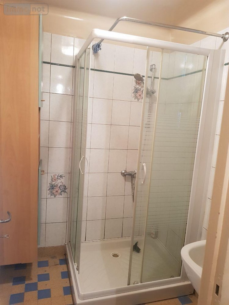 Maison a vendre Poulaines 36210 Indre 55 m2 2 pièces 100130 euros