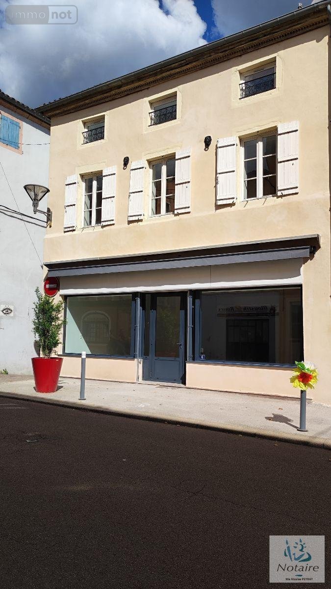 Immeuble a vendre Tournus 71700 Saône-et-Loire 230 m2  253000 euros