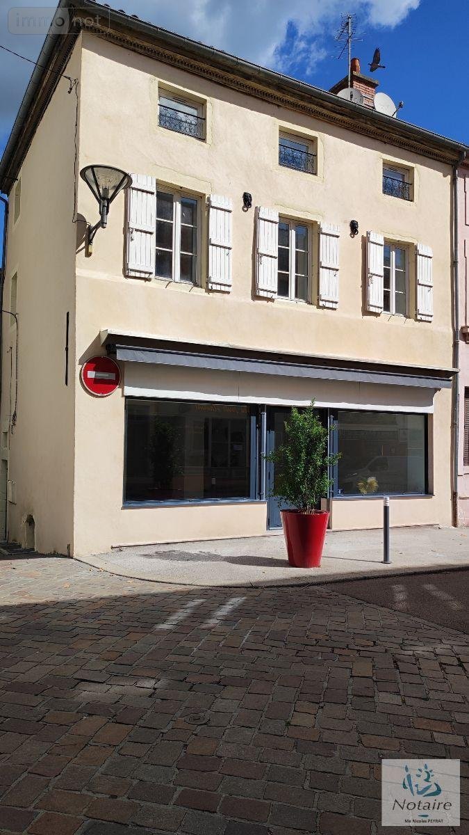 Immeuble a vendre Tournus 71700 Saône-et-Loire 230 m2  253000 euros