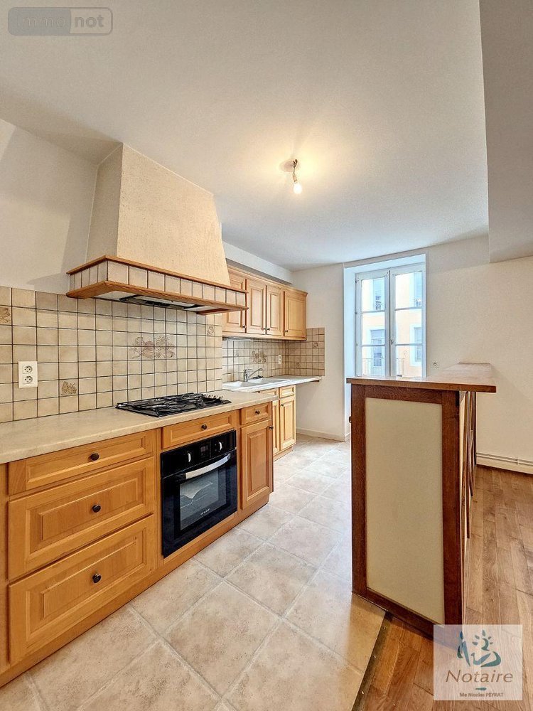 Immeuble a vendre Tournus 71700 Saône-et-Loire 230 m2  253000 euros