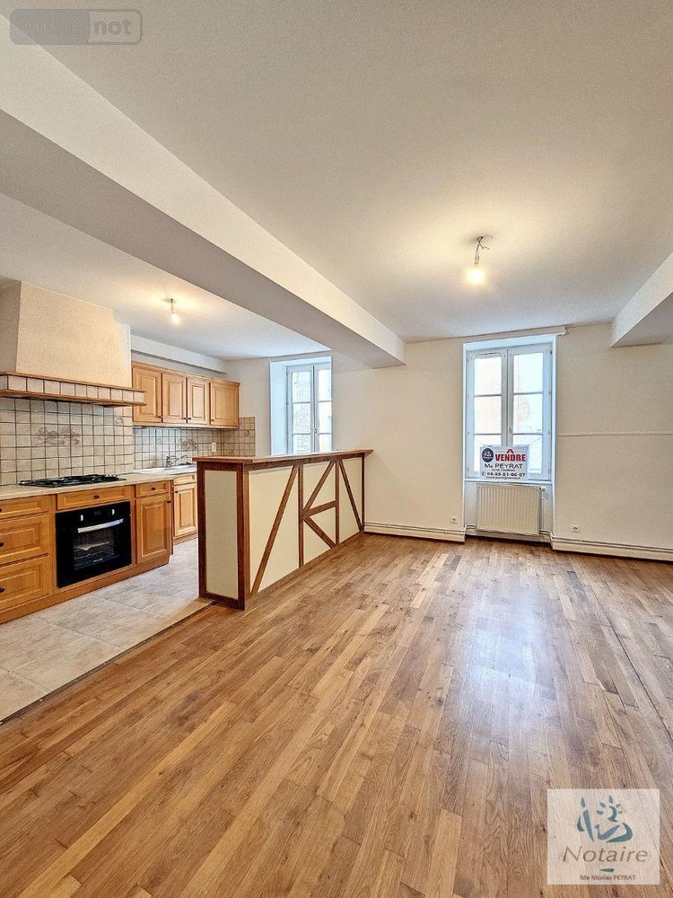 Immeuble a vendre Tournus 71700 Saône-et-Loire 230 m2  253000 euros