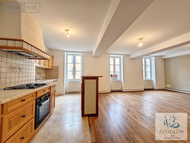 Immeuble a vendre Tournus 71700 Saône-et-Loire 230 m2  253000 euros