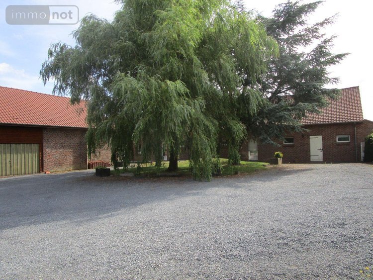 Location maison Bailleul 59270 Nord 147 m2  810 euros