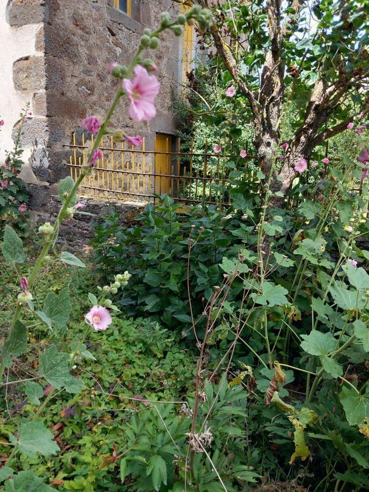 Maison a vendre Valuéjols 15300 Cantal 129 m2 6 pièces 69000 euros