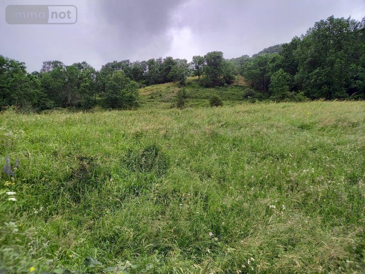 Terrains de loisirs bois etangs a vendre Laveissière 15300 Cantal 1450 m2  31000 euros