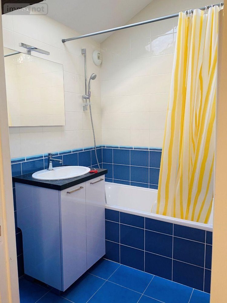 Location appartement Mâcon 71000 Saône-et-Loire 50 m2 2 pièces 460 euros