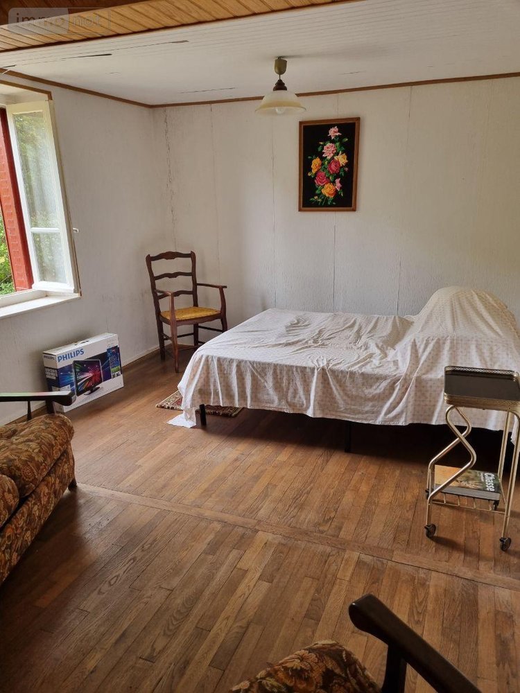 Maison a vendre Saint-Plantaire 36190 Indre 50 m2 3 pièces 61500 euros