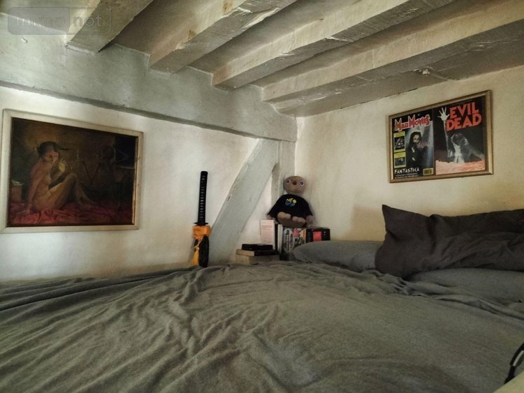 Appartement a vendre Rennes 35000 Ille-et-Vilaine 29 m2 2 pièces 180001 euros