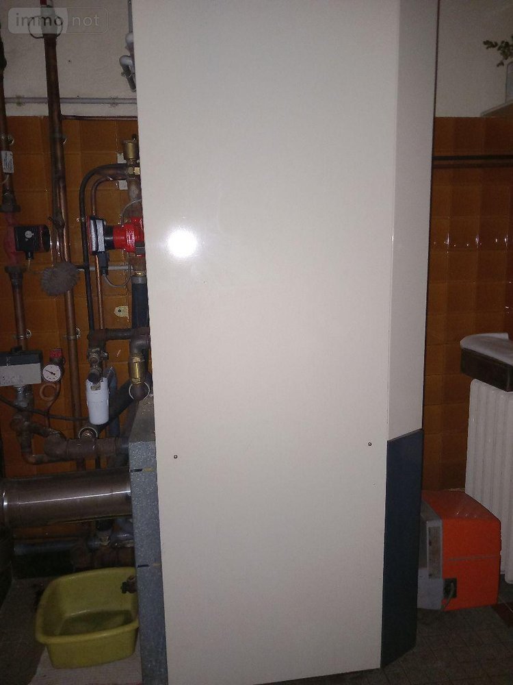 Maison a vendre Peyrusse 15170 Cantal 155 m2 5 pièces 85000 euros