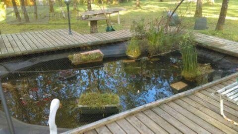 Maison a vendre Camors 56330 Morbihan 155 m2 8 pièces 496000 euros