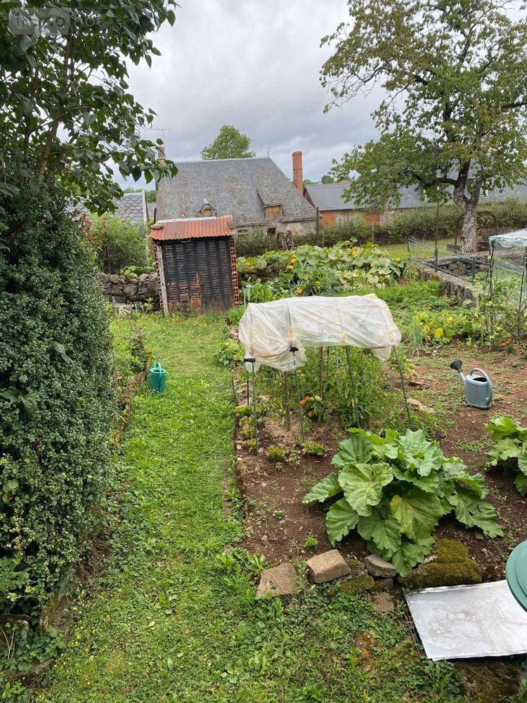 Maison a vendre Ally 15700 Cantal 40 m2  16500 euros