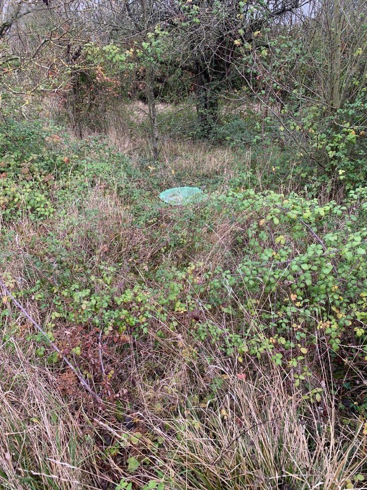 Maison a vendre Pellevoisin 36180 Indre 54 m2 3 pièces 59500 euros