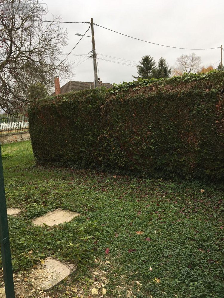 Location maison Les Rivières-Henruel 51300 Marne 62 m2 3 pièces 450 euros