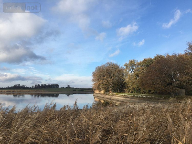 Terrains de loisirs bois etangs a vendre Lingé 36220 Indre 414345 m2  660000 euros