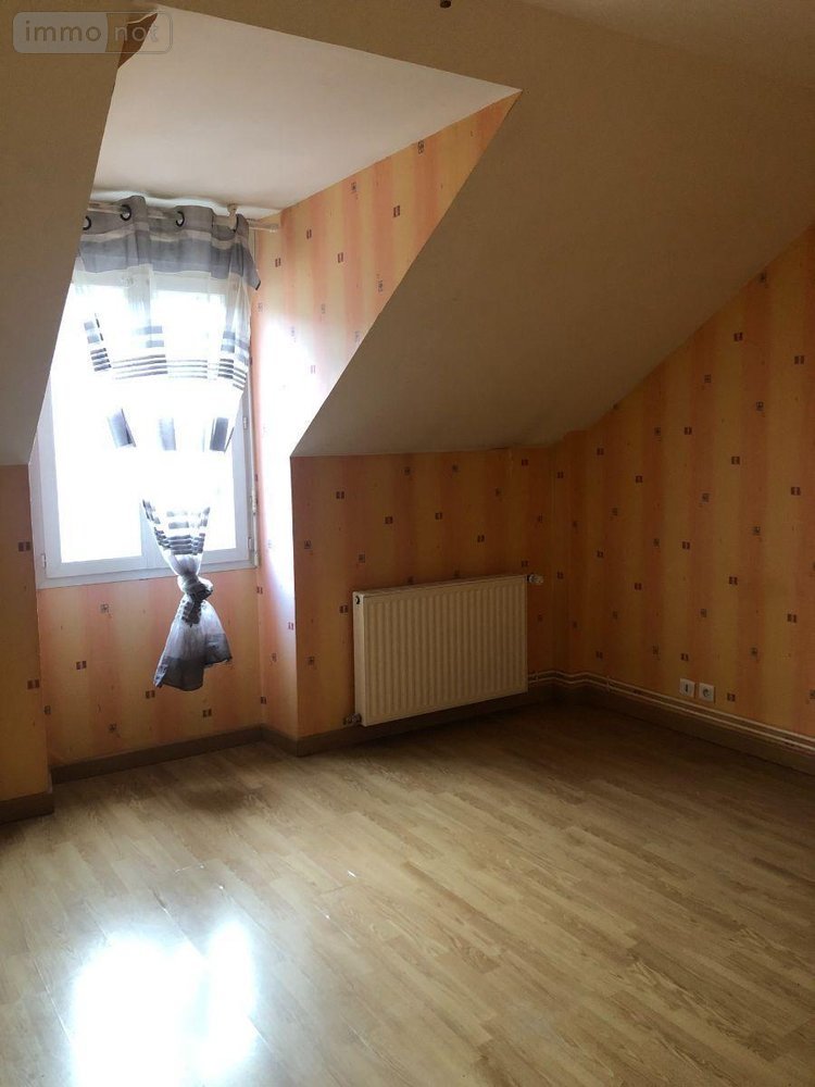 Immeuble a vendre Issoudun 36100 Indre 162 m2  158100 euros