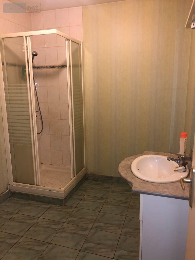 Immeuble a vendre Issoudun 36100 Indre 162 m2  158100 euros