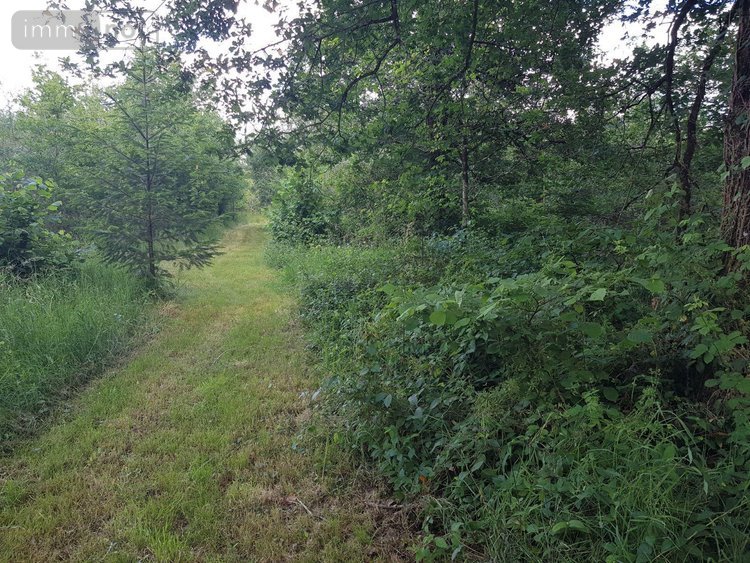 propriete a vendre Gièvres 41130 Loir-et-Cher 144 m2 5 pièces 242420 euros