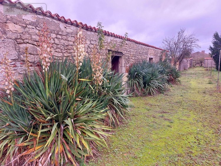 propriete a vendre Chambon 17290 Charente-Maritime 243 m2 8 pièces 457600 euros
