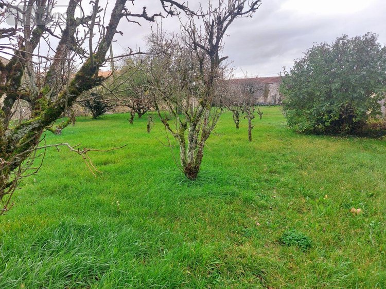 propriete a vendre Chambon 17290 Charente-Maritime 243 m2 8 pièces 457600 euros