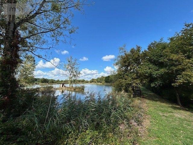 Terrains de loisirs bois etangs a vendre Mauvières 36370 Indre 61878 m2  286200 euros