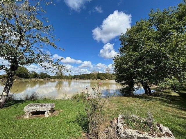 Terrains de loisirs bois etangs a vendre Mauvières 36370 Indre 61878 m2  286200 euros