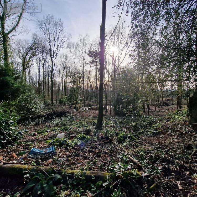 Terrains de loisirs bois etangs a vendre Rives-d'Andaine 61140 Orne 48797 m2  156000 euros